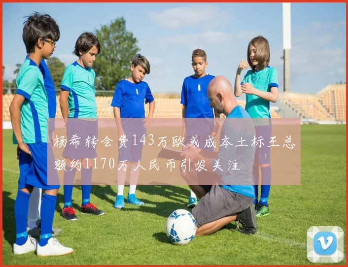 杨希转会费143万欧或成本土标王总额约1170万人民币引发关注