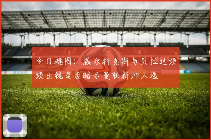今日趣图：威尔科克斯与贝拉达频频出镜是否暗示曼联新帅人选